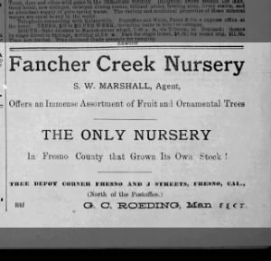 Fancher Creek Nursery